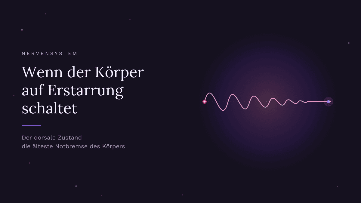 Eine Wellenlinie, die immer flacher wird, bis sie ganz gerade verläuft